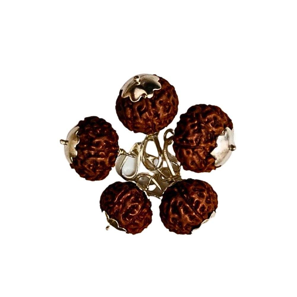 8 Mukhi Eight Faced Indonesia Rudraksha Silver Plated Pendant at Wholesale Rate (Rs 410/piece) Spiritual Healing Loose Seed Fine Quality Rudraksh for Reselling Astrologers Jewellers
