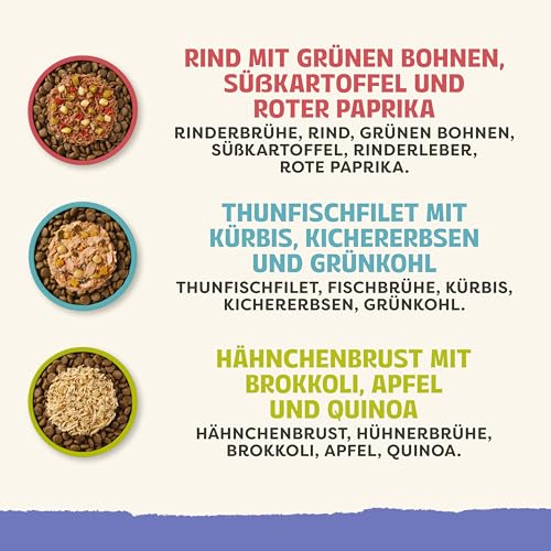Applaws Premium Natural Nassfutter für Hunde, getreidefreie Auswahl an Fleisch und Fisch in Brühe, Topping für Hunde 6 x 85g Packung