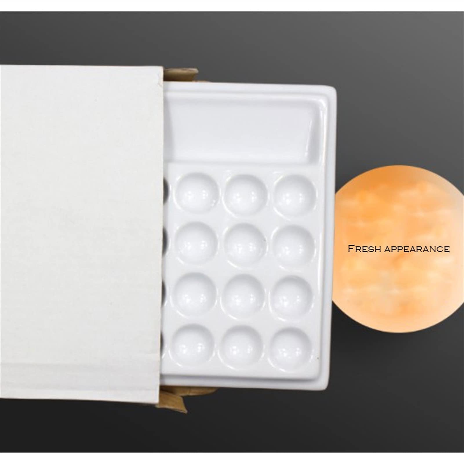 Paleta de cerámica para artistas, bandeja de mezcla de cerámica de acuarela y gouache, adecuada para pintura al óleo, acuarela, gouache, etc. (Bianco)