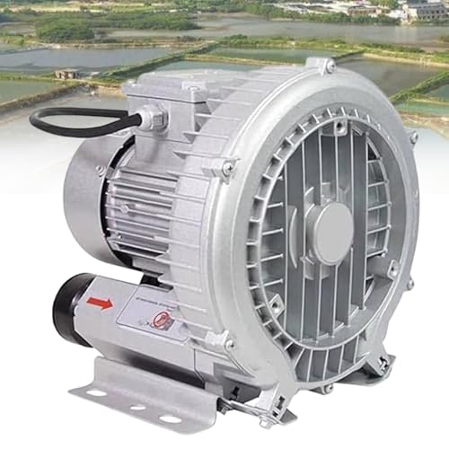 Pompe centrifuge industrielle et souffleur d'air régénératif haute efficacité multi-usages
