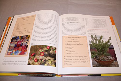 The Hot Garden: Landscape Design for the Desert Southwest
