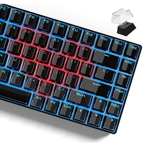 Image of Womier Keycaps - Black Jelly Keycaps, Crystal Shine Through Key caps | Custom Keycaps Set 60% 75% 100% Percent, 130 Keys OEM Profile for 61 /68 /84 /87 /98 /100 Cherry Gateron MX Mechanical (Black)