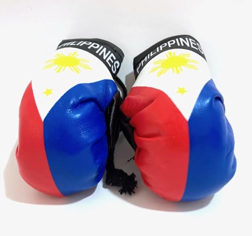 Philippines Boxing Gloves Car Accessories Filipino Flag