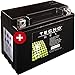Produktbild YTZ12S TECNO GEL-Batterie für XP 530 Tmax Black Max Baujahr 2013