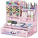 Restorgan Netz Schreibtisch Organizer,12 Fächer Mesh Stifthalter mit Schublade, Stiftehalter, Stiftebox, Multifunktionaler Schreibtisch Organizer für Heimbürobedarf(Rosa)