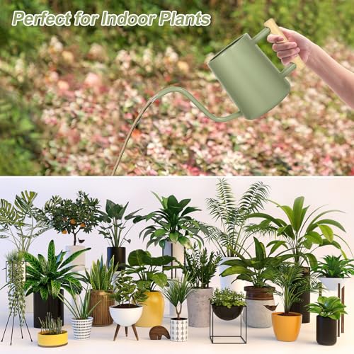 Image of Watering Can Indoor Plants, 35 oz /1000 ml Metal Stainless Steel Watering Can Pot with Long Spout for Indoor House Plants Bonsai Outdoor Garden Flower Decorative (Sage Green)