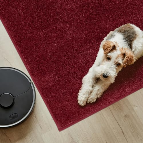 PURRUGS Easy Care Area Rug 6ft x 9ft, Non-Slip Washable Entryway Rug, Stain Resistant Accent Rug for Hallway, Living Room, Bedroom and Mudroom, Burgundy Red