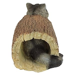 Designtoscanobandittheraccoonindooroutdoorgardenanimalstatue10inchlongcaststoneresinfullcolorfinish  Urban Country Home Decor Design toscano bandit the raccoon indooroutdoor garden animal statue 10 inch long cast stone resin full color finish  urban country home decor