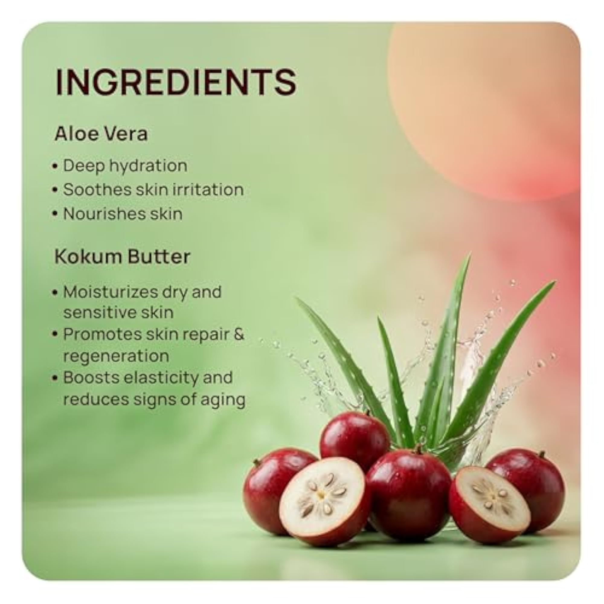 Aloe Vera & Kokam Butter Multipurpose Lotion, Intensive Hydration