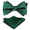 Alizeal Mens Paisley Jacquard Self Bow Tie Pocket Square Set