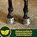 Farnam Horseshoer's Secret EXTRA STRENGTH Hoof Supplements & Connective Tissue Supplement, Promotes strong, healthy hooves, tendons & ligaments, 3.75 lbs., 30 day supply