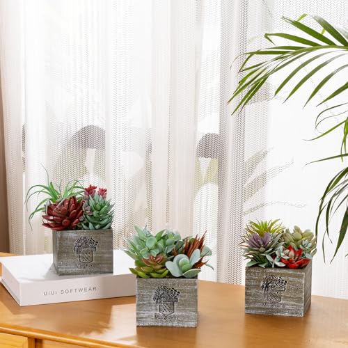 Succulents Plants Artificial in Pots, Small Fake Plants with Led String Light, Mini Artificial Potted Plants for Table Desk Home Bathroom Office Decor