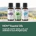 NOW Essential Oils, Organic Lemon Oil, Cheerful Aromatherapy Scent, Cold Pressed, 100% Pure, Vegan, Child Resistant Cap, 1-Ounce