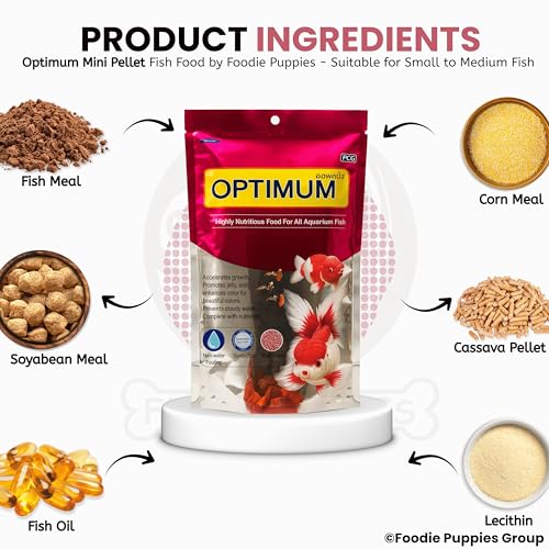 Image of Foodie Puppies Optimum Fish Food - 200gm (Mini Pellet) | Highly Digestible & Added with Fish Meal & Corn Protein Meal | Highly Nutritious Fish Food for All Aquarium Fish with Free Key Ring