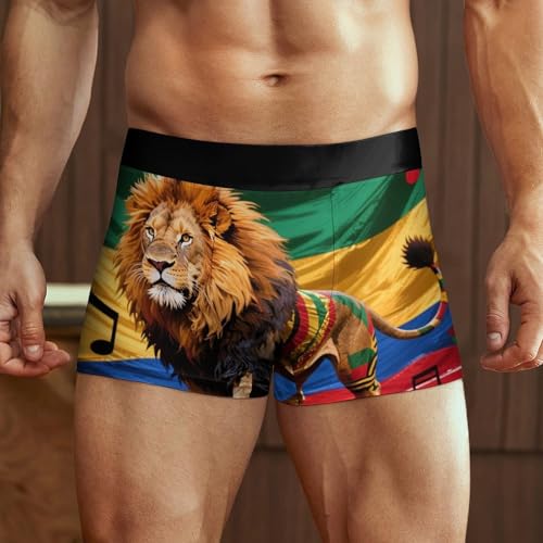 Men's Swim Briefs Bulge Swim Trunks2