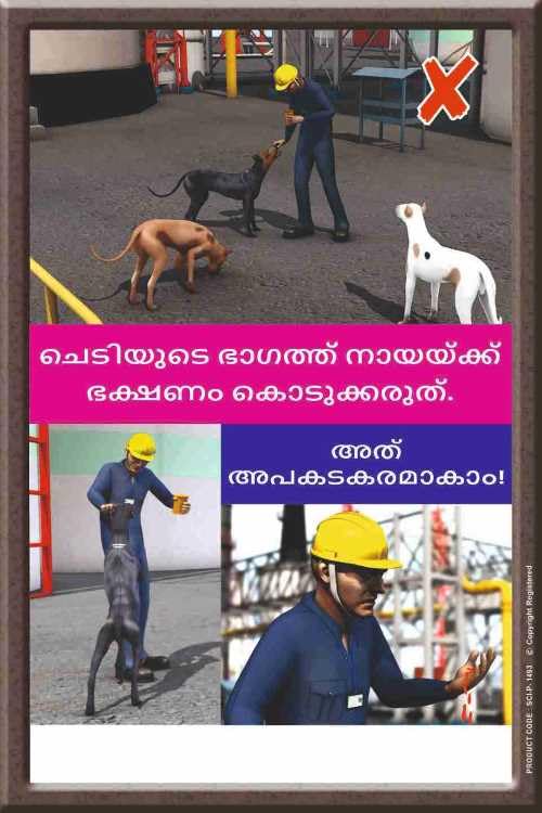 Motivational Wall Art – “Do Not Feed Stray Dogs” Malayalam Safety Awareness Poster | Industrial & Office Wall Decor Promoting Workplace Safety and Responsibility (Eco Vinyl, 2x3 Feet)-image-33