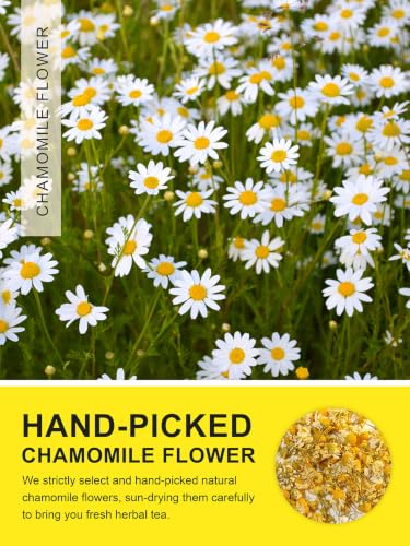 Image of TeeLux Chamomile Tea Bags, 1.5g /bag, Pure Natural Whole Chamomile Flowers Herbal Tea in Pyramid Bags, Caffeine Free, 40 Count