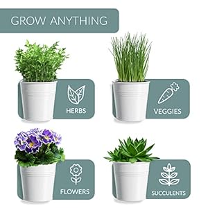 Barnyard Designs Indoor Herb Garden Planter Set with Tray, Metal Windowsill Plant Pots with Drainage for Outdoor or Indoor Plants, Set/3 (White) Barnyard Designs Indoor Herb Garden Planter Set with Tray Metal Windowsill Plant Pots with Drainage for Outdoor or Indoor Plants Set3 White