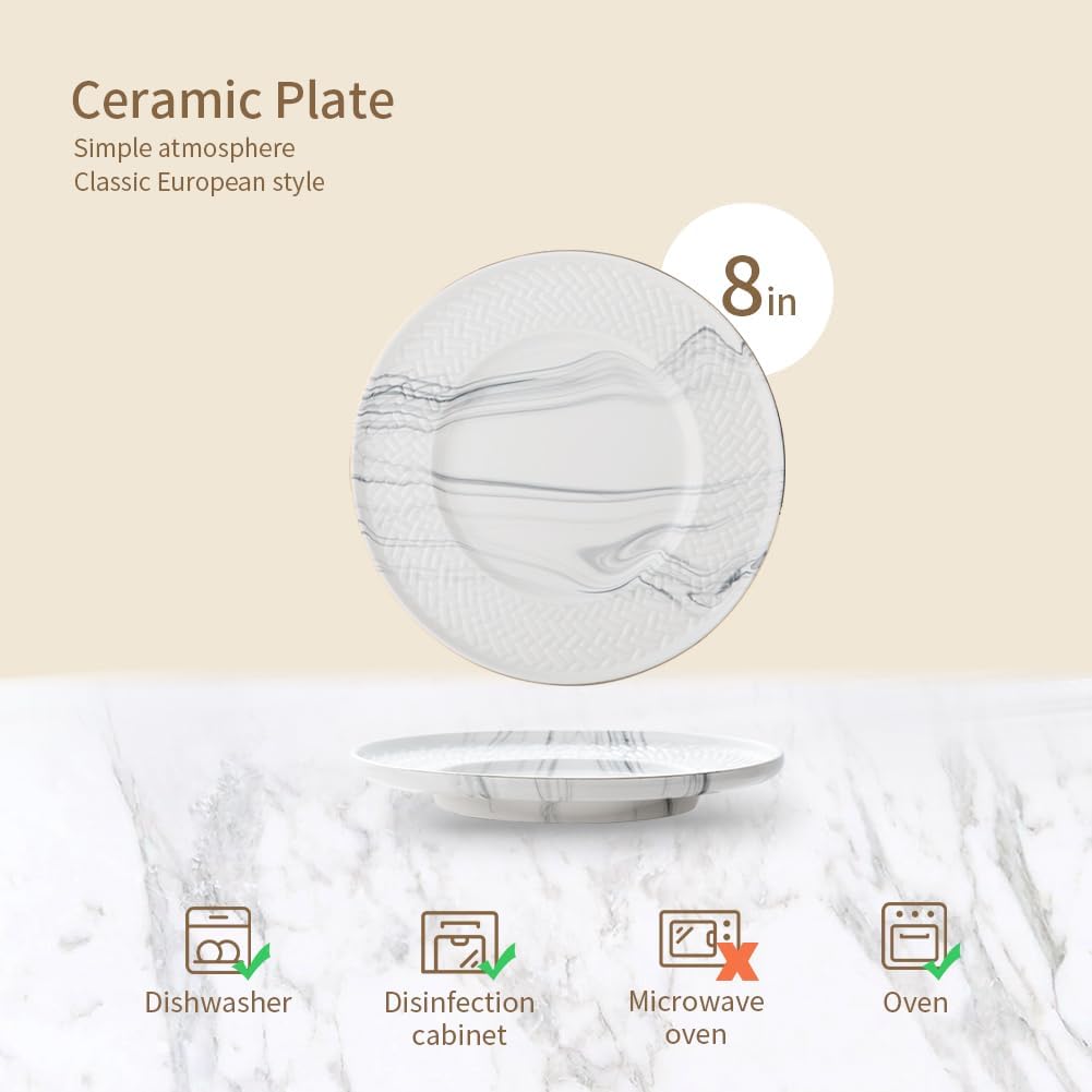 Ceramic Dinner Plates Set of 6, 8Inch Porcelain Dinner,Suitable For Steak, Pasta, Pizza, Home, Party,Oven, Dishwasher Safe, White,Bamboo Weaving Pattern