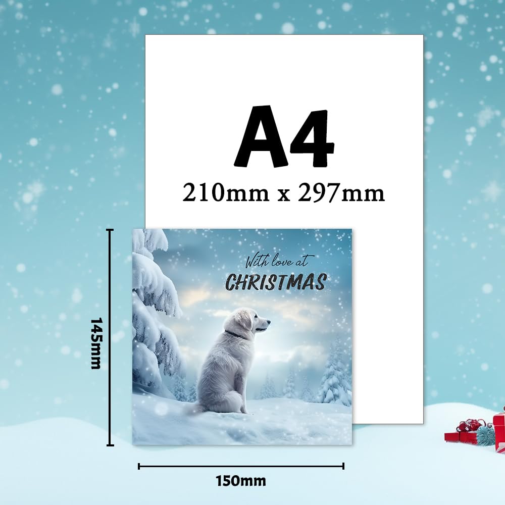 Papa Prints® Packs of Christmas Cards with Envelopes Xmas Cards Pack of 24 (145 x 150 mm) Westie Christmas Cards 2025 - Image 4