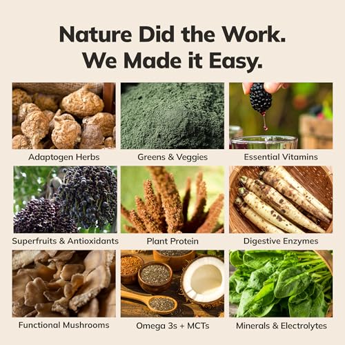 Image of Ka'Chava Whole Body Meal Shake Chocolate Mint 2 lb - Vegan Protein Powder with 85+ Superfoods & Greens - Plant-Based Meal Replacement with Probiotics & Digestive Enzymes - Gluten & Dairy Free