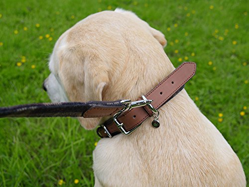Rosewood 04113 Luxus-Hundehalsband aus Leder für einen Halsumfang von 31-41 cm, Schottenkaro-Tweed