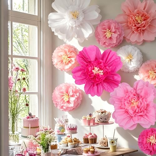 Image of TaoBary Large Colorful Tissue Paper Flowers Giant Fiesta Paper Pom Poms Classroom Wall Decor Mexican Birthday Party Decorations Wedding Backdrop(20 inch and 10 inch,Gradient Pink,12 Pcs)