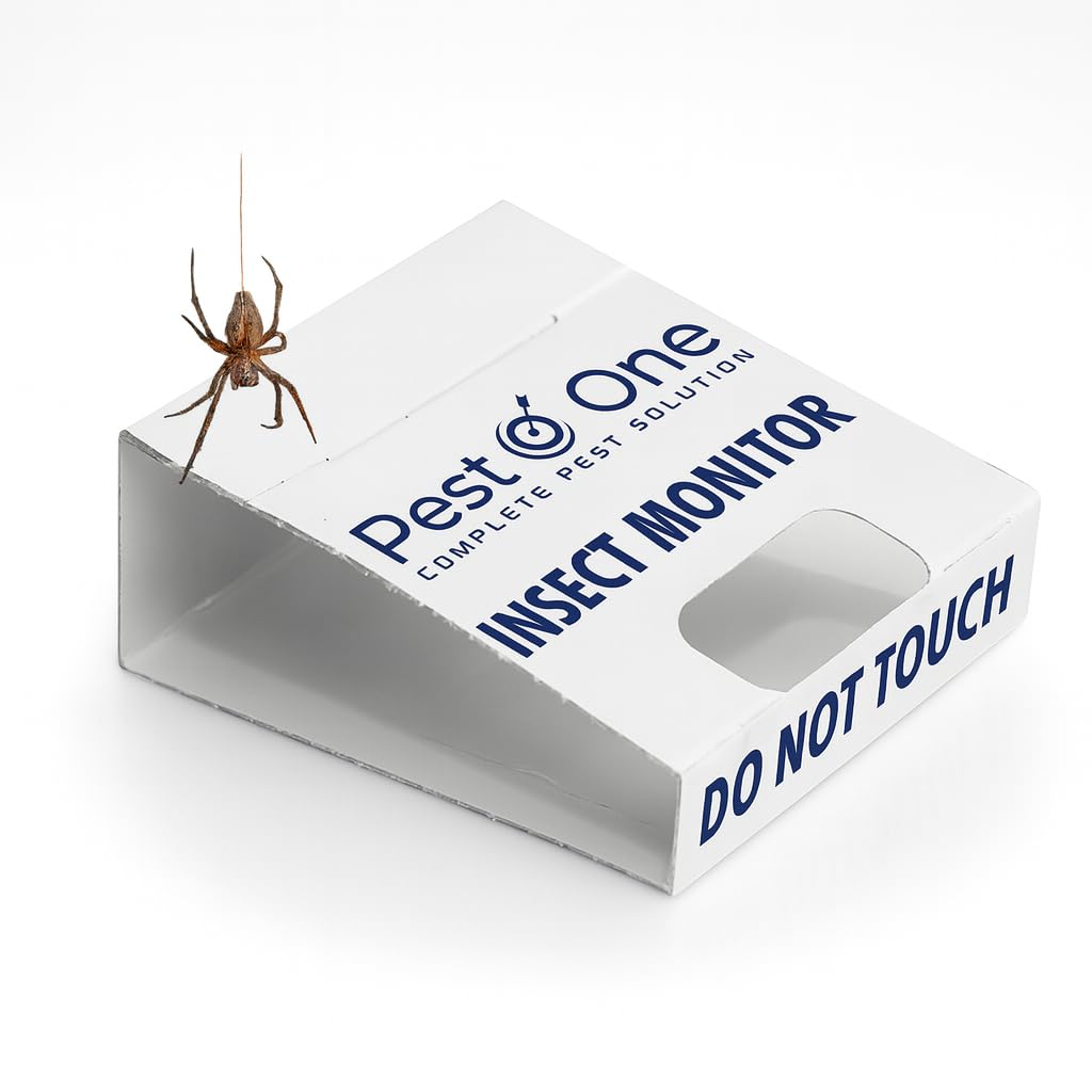 Spider & Crawling Insect Glue Traps | Non-Toxic Indoor Spider Catcher | Sticky Trap for Spiders, Ants, Silverfish, Cockroaches & Bed Bugs | Pet & Child Safe Pest Monitoring Pads (Pack of 12)