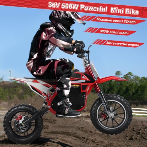 Shulemin Kids Electric Dirt Bike