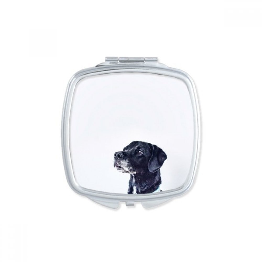 Miroir de maquillage compact portable motif chien miroir de poche carré