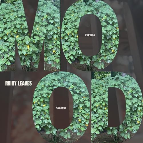 Birds, Water and Soundwave Content Moods