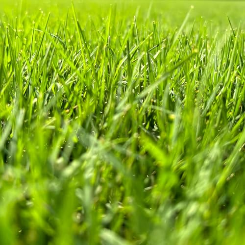 Tips And Tricks For Yard Work!!!!!