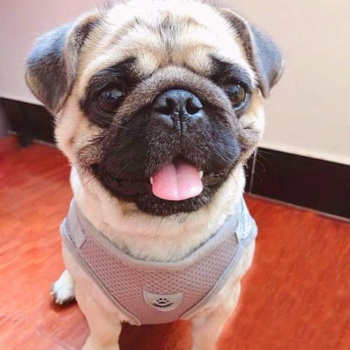 Image of FEimaX Dog Harness and Leash Set for Walking, Soft Mesh Adjustable Easy Control Lightweight Cat Vest Harnesses with Reflective Strips, Escape Proof Small Dogs Cats Vests (Grey, Small)