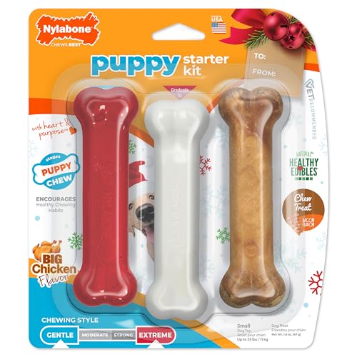 Nylabone Puppy Chew Holiday Puppy Starter Kit...