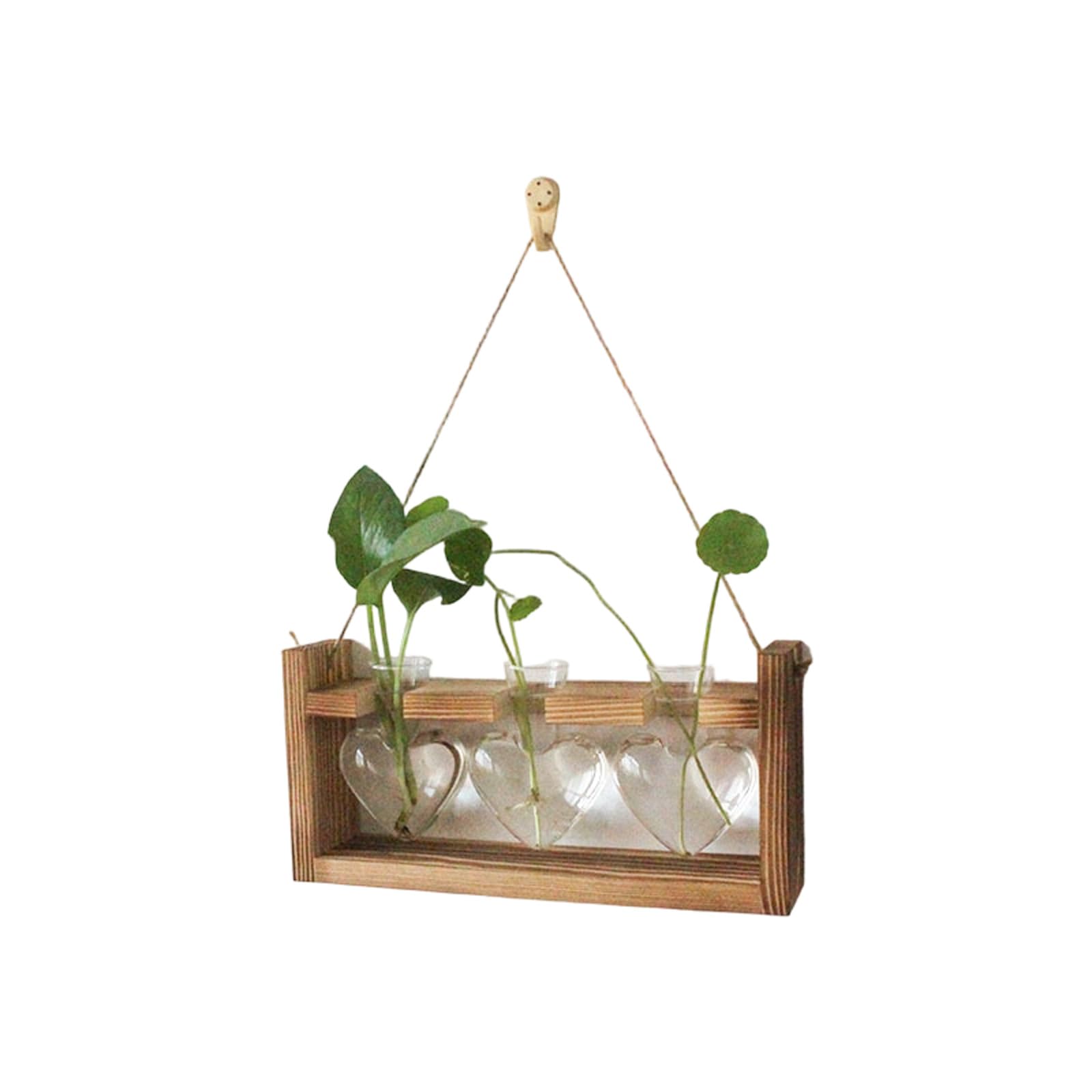 Shaped Glass Vase with Wooden Stand for Hydroponics Plant and Home Decor Hydroponic Planter Vase