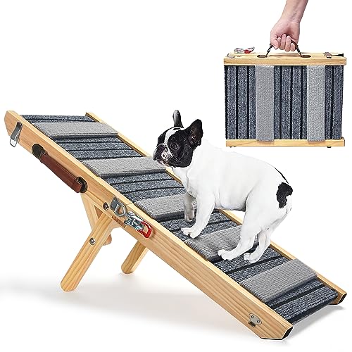 Top 10 Best Portable Dog Ramps In 2024 Glory Cycles