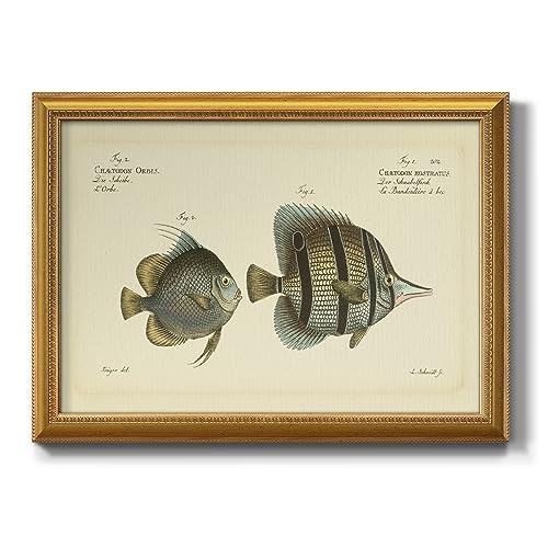 Renditions Gallery Animal Wall Art Black Stripe Bloch Fish Painting Picture Modern Home Décor Artwork Gold Framed Canvas Prints Wall Decorations for Home and Office 20x28 Inch