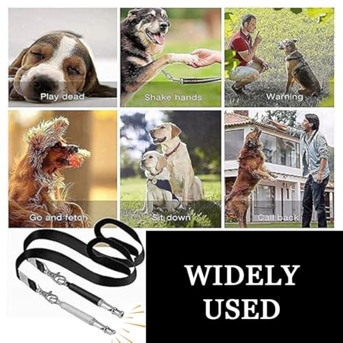 Hundepfeife,Hundepfeife Hochfrequenz Lautlos,2 Pack Hundepfeife Gegen Bellen,Wird FüR Den RüCkruf Verwendet Hundepfeife Gegen Bellen, Verstellbare Hundepfeife Gegen Bellen Mit UmhäNgeband, Mit Lanyard