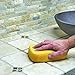 Aqua Mix Sealers Choice Gold - Quart