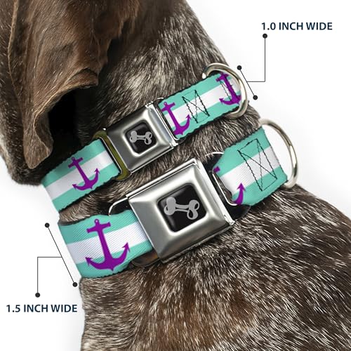 Collier de chien ceinture de sécurité Buckle Down marine M