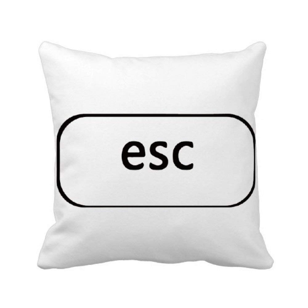 Coussin Esc décoration canapé salon : oreiller carré multicolore pour chambre et bureau