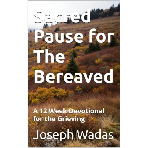 Sacred Pause for The Bereaved Audiobook By Joseph Wadas cover art