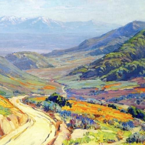 Gianluca Braschi: Non vedrò mai forse la California