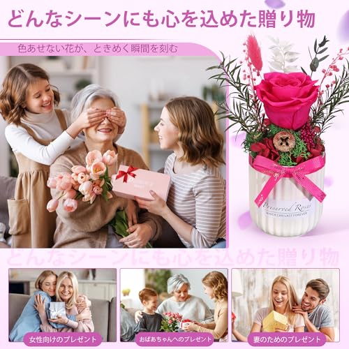 Bloom's Diaryミニプリザーブドローズアレンジメント セラミックミニ花瓶、リアルタッチプリザーブドローズホームデコレーション、彼女、女性、妻へのギフト (ブライトピンク) [5]