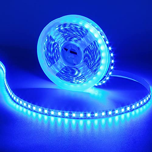 KXZM 12V 5M/16.4ft LED Strip Light Blue 600LEDs Flexible SMD2835