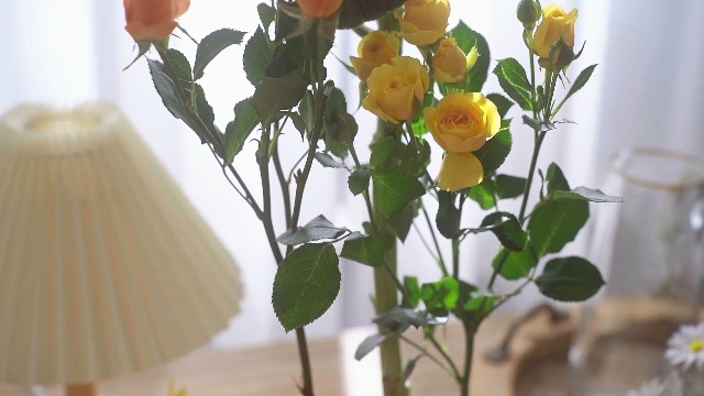Amazon.com: Waydress 16 Pieces Plastic Flower Frog Flower