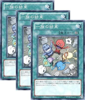 Amazon Co Jp 3枚セット 遊戯王 一族の結束 Sd Jp031 ノーマル ロスト サンクチュアリ ホビー 通販 Amazon Co Jp 3枚セット 遊戯王 一族の結束 Sd Jp031 ノーマル ロスト サンクチュアリ ホビー 通販