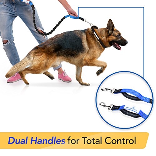 Paw Lifestyles Retractable Hands Free Dog Leash W/Smartphone Pouch – Dual Handle Bungee Waist Leash For Up To 150 Lbs Large Dogs (Black - Blue W/Smartphone Pouch) #TOP2