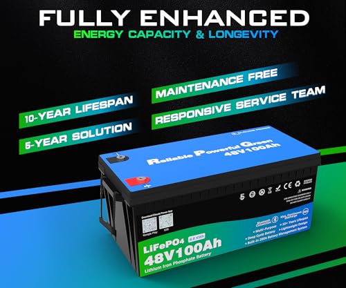 Image of 48 Volt 100Ah Lithium Golf Cart Battery, 48V LiFePO4 Battery with 10A Charger, Gauge, 200A BMS, 4000+ Cycles, 4.8 kWh Energy, Perfect for Golf Cart, RV, Marine, Lawn Mower