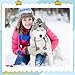 ACTOYS Hundemütze - Wintermütze für Kleine, Mittlere und Große Hunde (S), Französischer Bulldogge